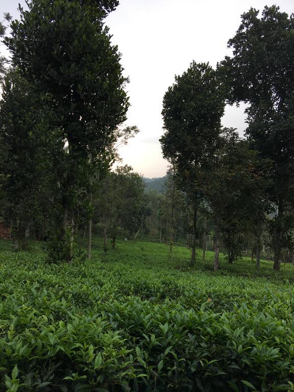 Villa Harmony Farm Wayanad Sultan Bathery Exterior foto