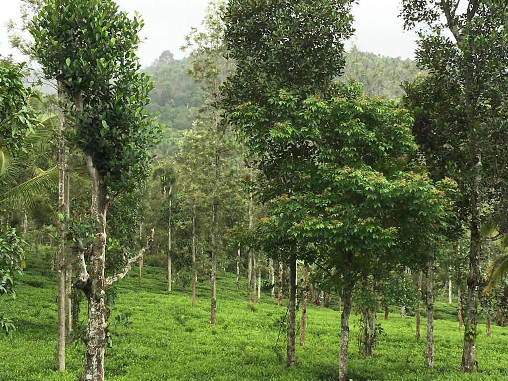 Villa Harmony Farm Wayanad Sultan Bathery Exterior foto