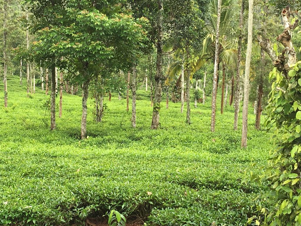 Villa Harmony Farm Wayanad Sultan Bathery Exterior foto