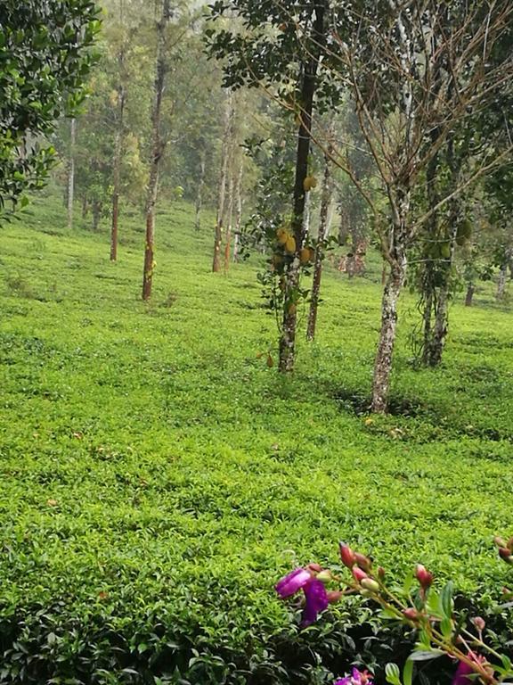 Villa Harmony Farm Wayanad Sultan Bathery Exterior foto
