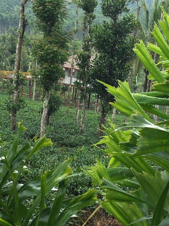Villa Harmony Farm Wayanad Sultan Bathery Exterior foto